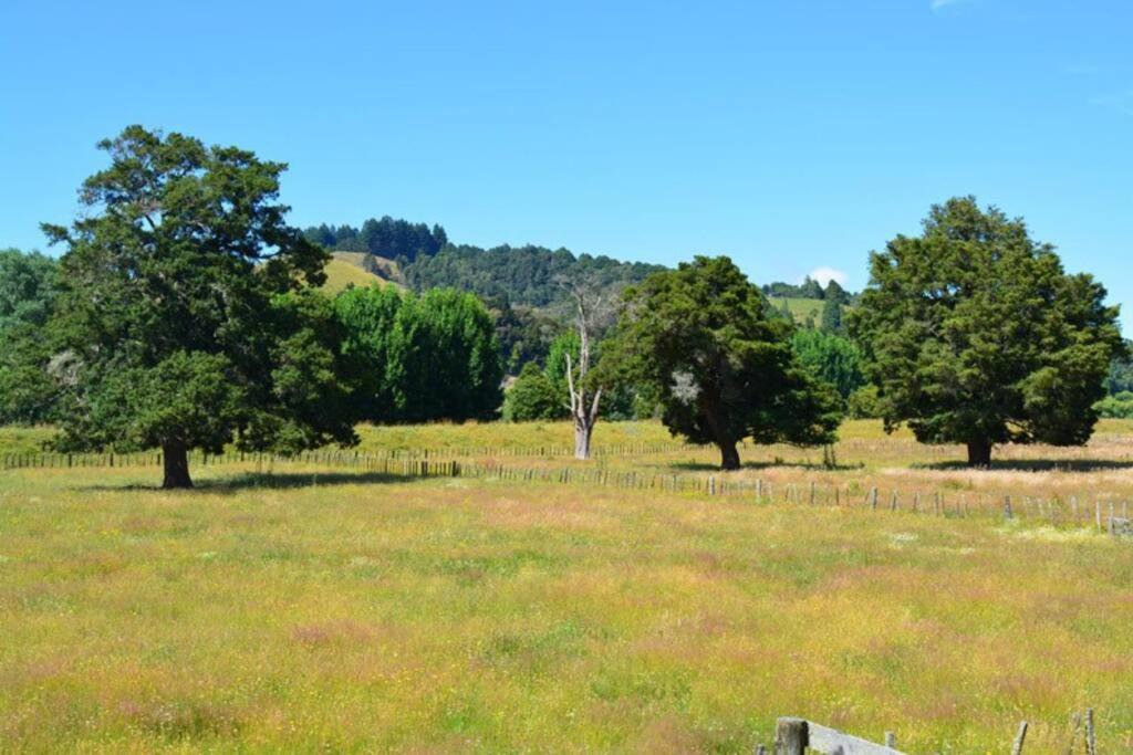 Riverlea Cottage - Cosy, Comfy, Quiet, Central Taumarunui Exteriér fotografie