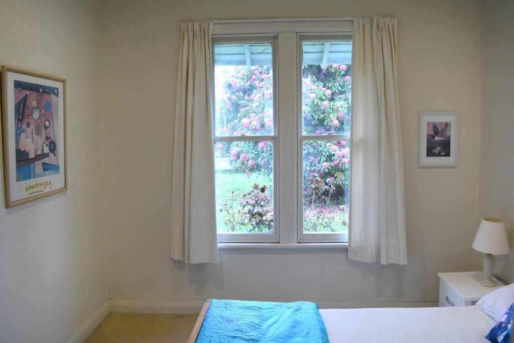 Riverlea Cottage - Cosy, Comfy, Quiet, Central Taumarunui Exteriér fotografie