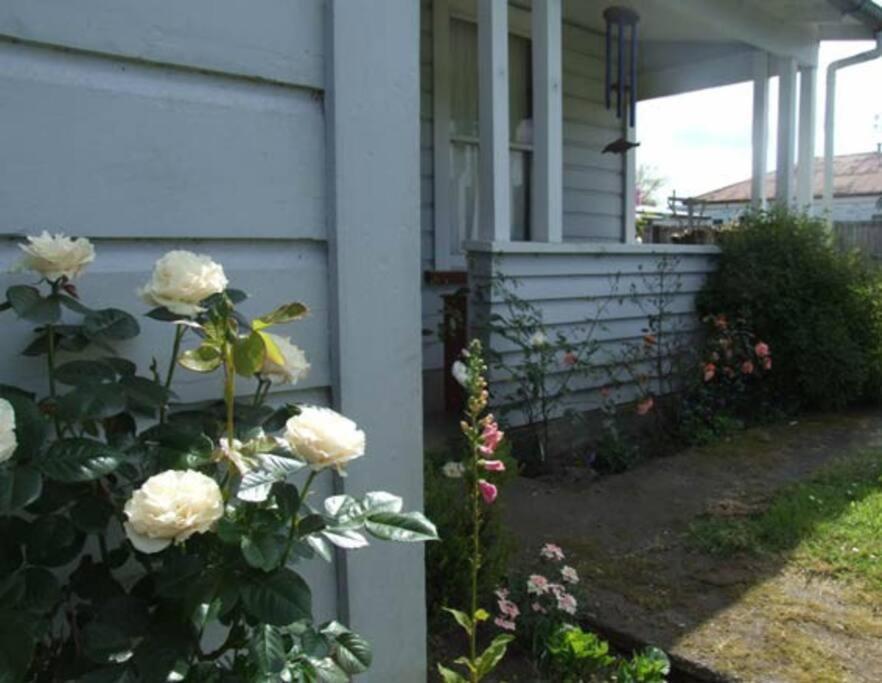 Riverlea Cottage - Cosy, Comfy, Quiet, Central Taumarunui Exteriér fotografie