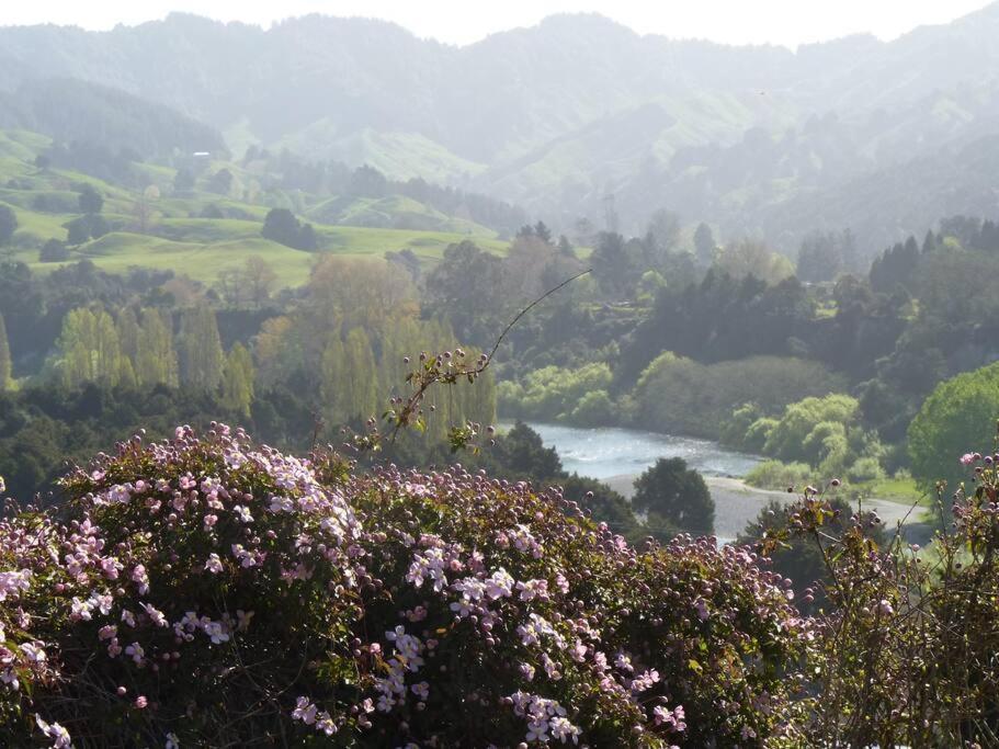 Riverlea Cottage - Cosy, Comfy, Quiet, Central Taumarunui Exteriér fotografie