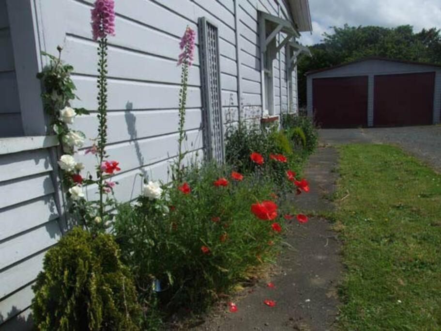 Riverlea Cottage - Cosy, Comfy, Quiet, Central Taumarunui Exteriér fotografie